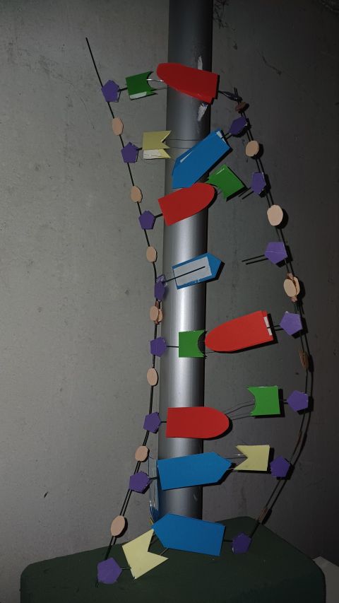 20251002_132404.jpg