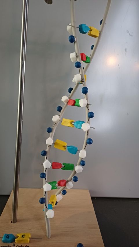 20251002_132442.jpg